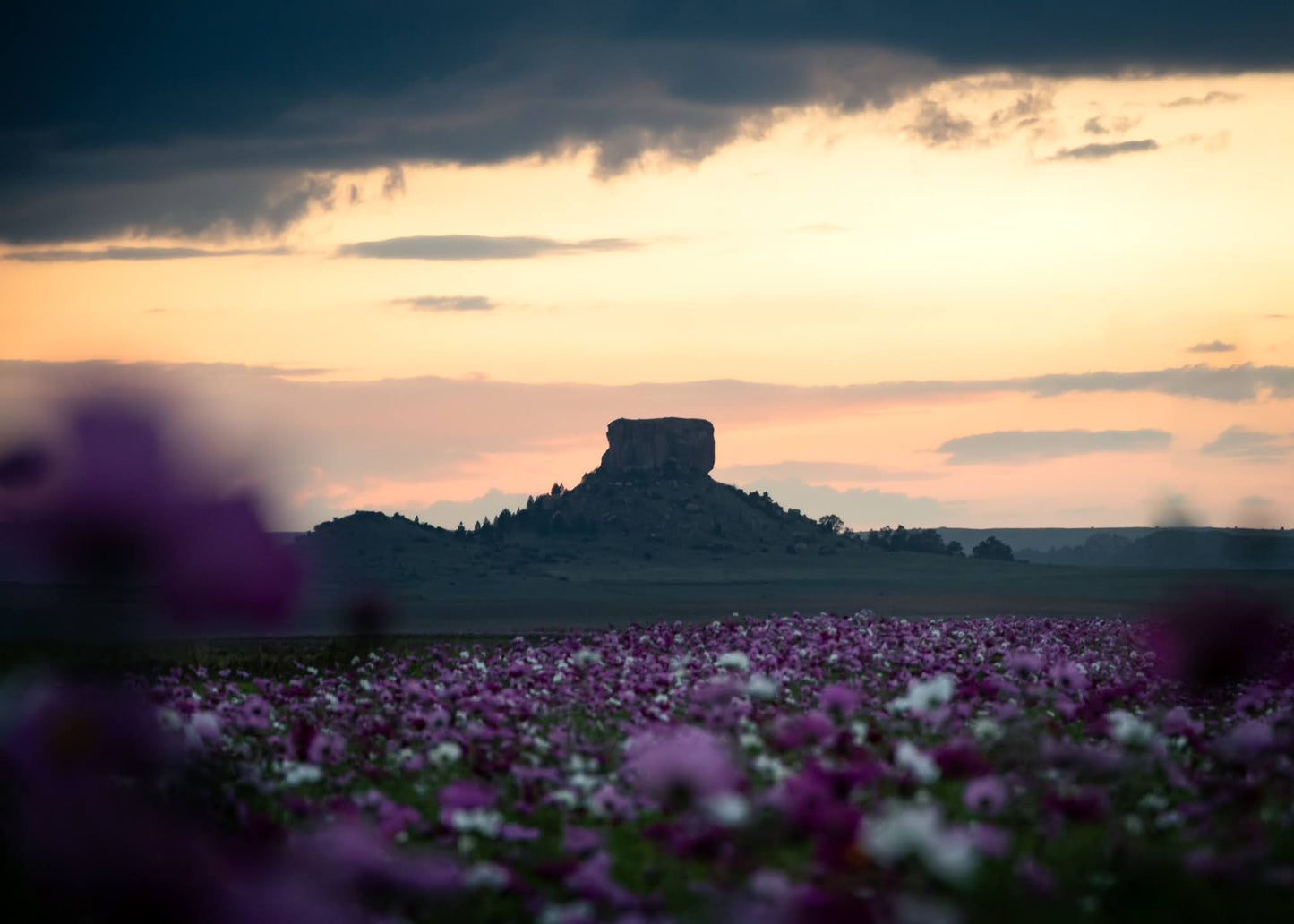 James Attwell Photography Single Trip – Grootdraai Shuttle (Return)