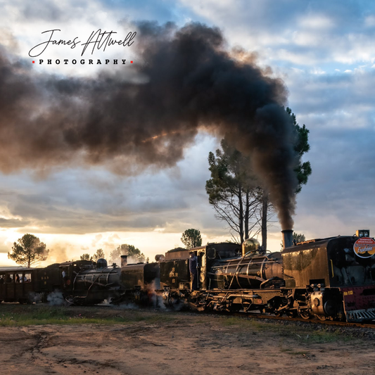 VIP Photographic Experience – One-Day Pass